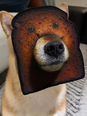Burnt Toast